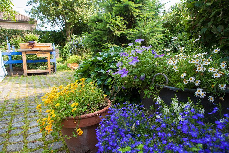 B&B T'Keygoed Gante Exterior foto
